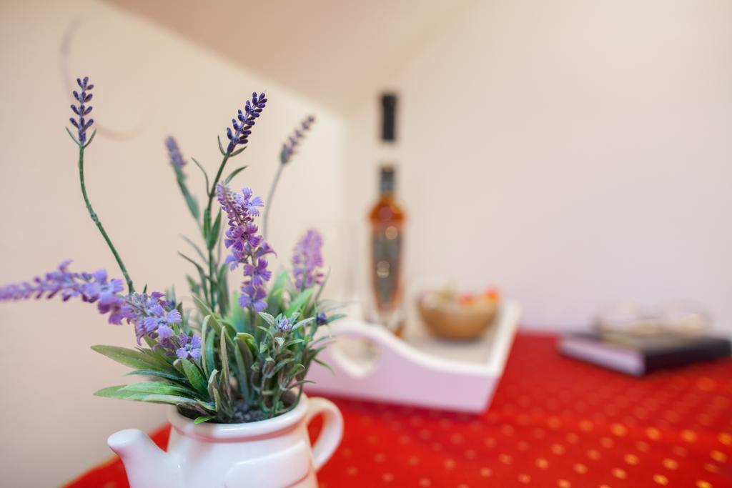 Angelus Apartments Dubrovnik Dış mekan fotoğraf