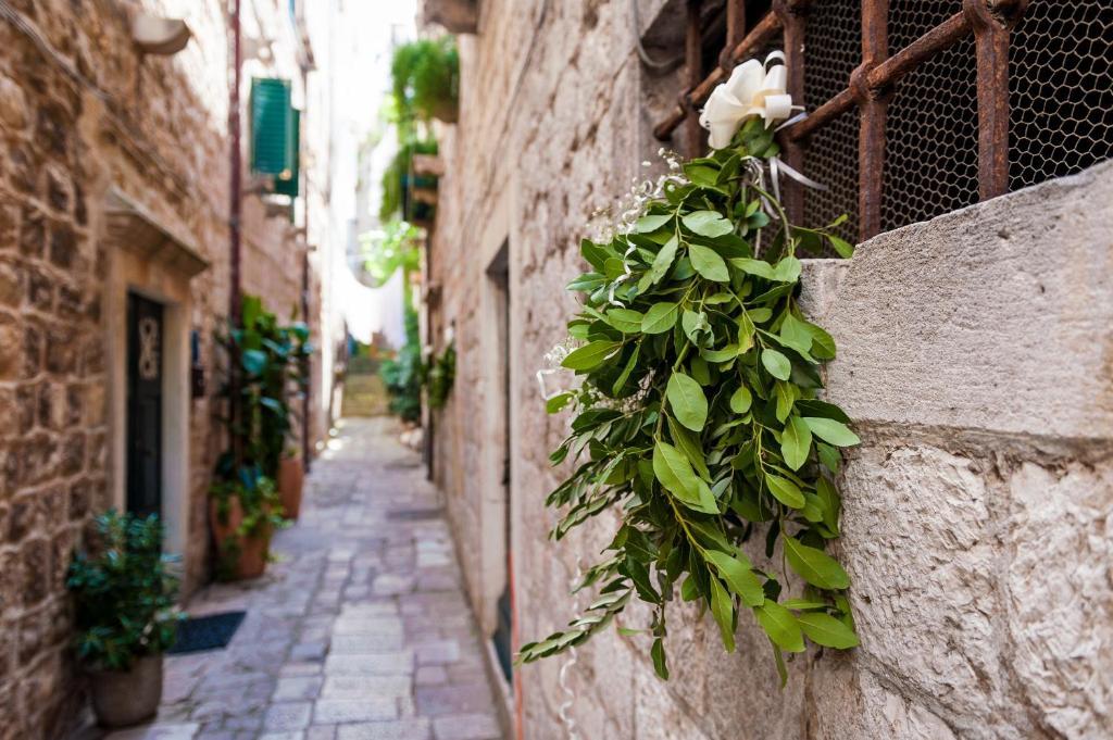 Angelus Apartments Dubrovnik Dış mekan fotoğraf
